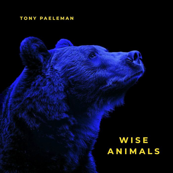 WiseAnimals